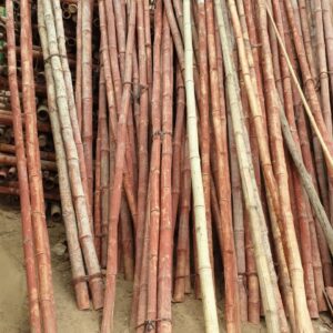 bamboo sticks